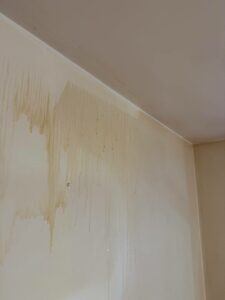 IMG 20260306 112423 126 IMG 20260306 112423 126